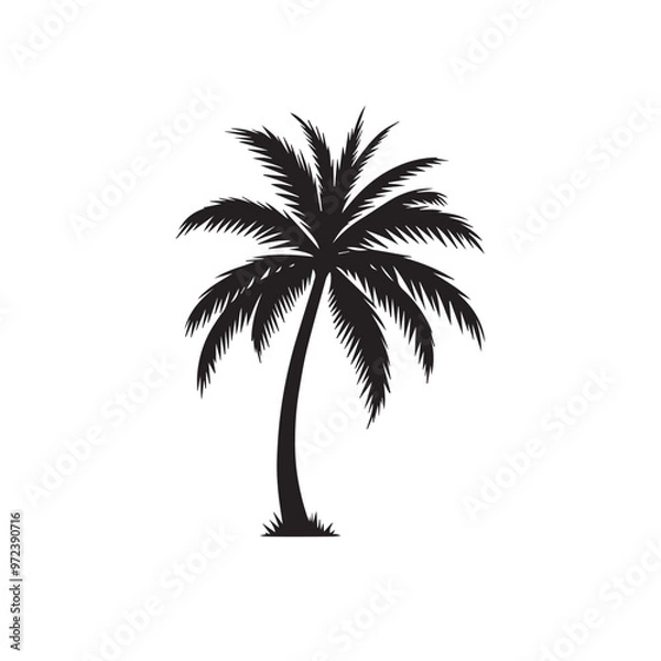 Fototapeta Palm tree vector design. Palm tree silhouette. Palm tree logo, icon, sign. Tropical Palm tree illutration.
