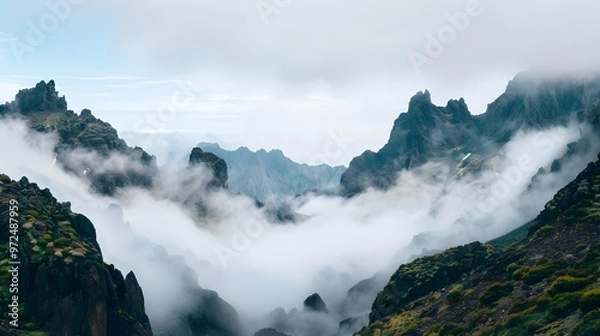 Fototapeta Fog rolling through a mountain pass, foggy weather, mysterious and silent