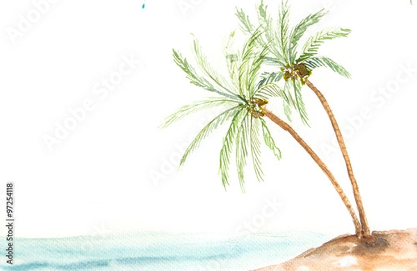 Obraz Coconut tree, watercolor painting