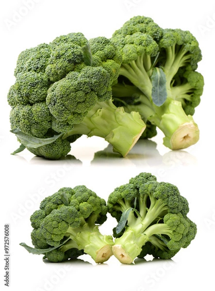 Fototapeta Broccoli vegetable on white background 