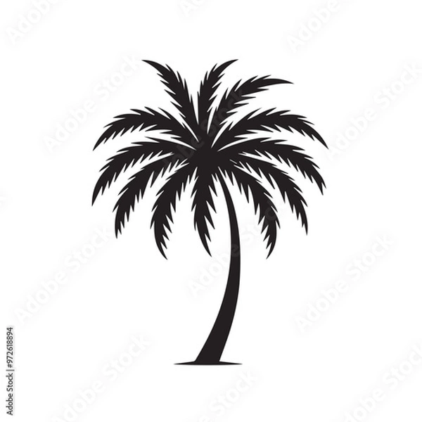 Fototapeta Palm tree vector design isolated on white background. Palm tree logo, icon, sign. Tropical palm tree illustration.