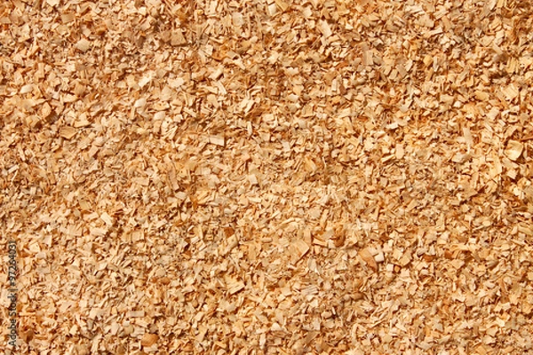 Obraz Fine sawdust as a texture