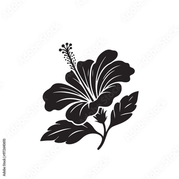 Obraz Hibiscus flower vector silhouette. Hibiscus logo, icon vector design. hibiscus flower illustration isolated on white background.