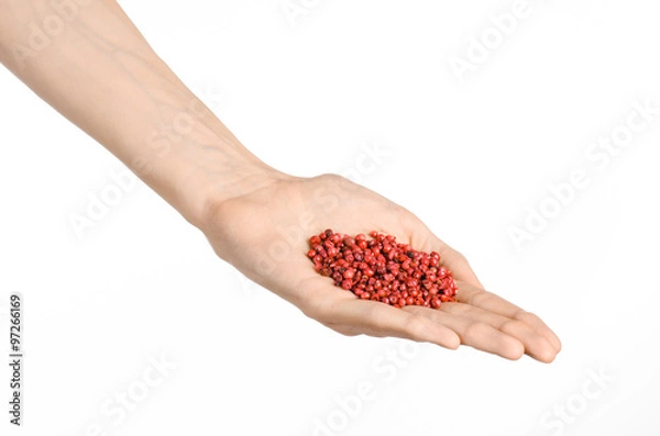 Fototapeta Spices and cooking theme: man's hand holding a bunch of pink pepper isolated on a white background in studio