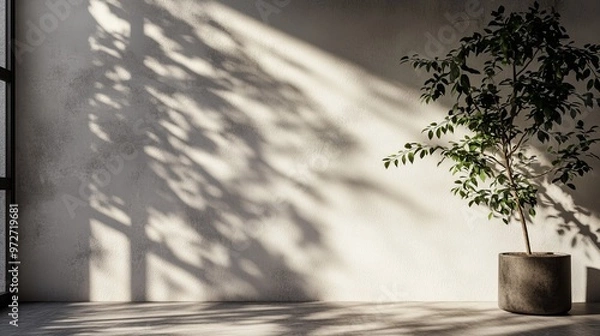 Obraz Abstract Realistic Shadow Overlay on the Wall