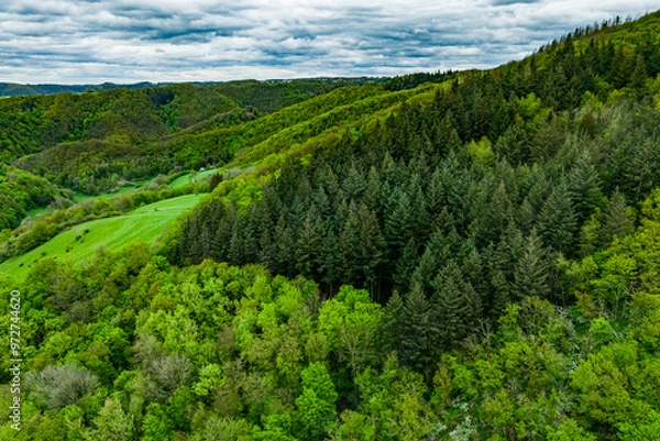 Fototapeta Aerial top view forest tree, Rainforest ecosystem and healthy environment concept and background, Texture of green tree forest view from above