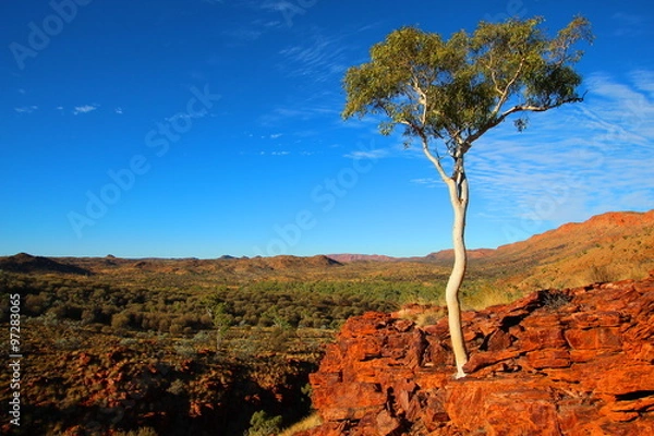 Obraz Trephina Gorge, Australia