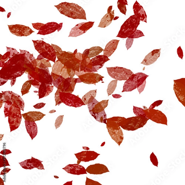Fototapeta Red Leaves Falling Randomly
