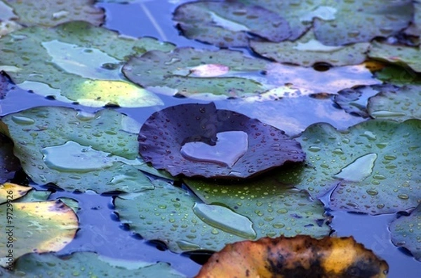 Obraz Liebe