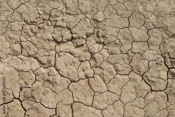 Obraz close up of cracked desert ground texture