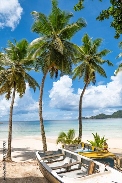 Obraz beach with palm trees