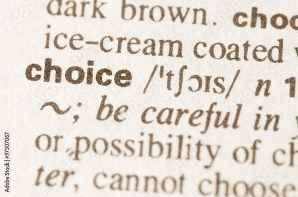 Obraz Dictionary definition of word choice