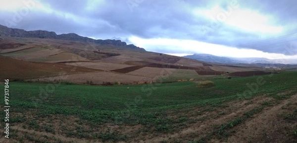 Fototapeta paesaggio rurale