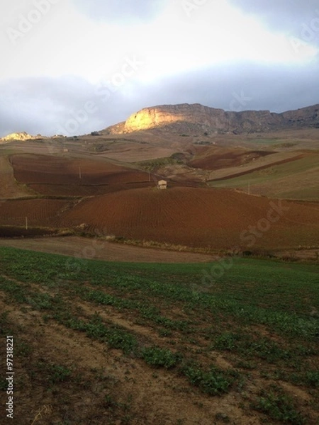 Fototapeta agricoltura