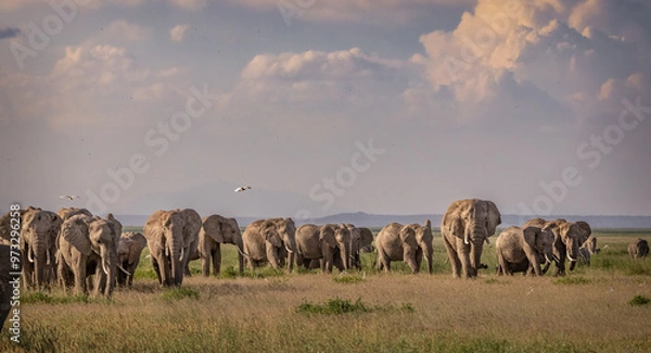 Obraz African Elephants 2