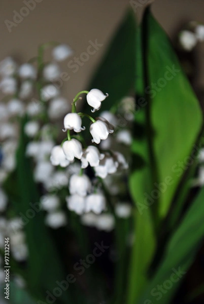 Obraz ландыши