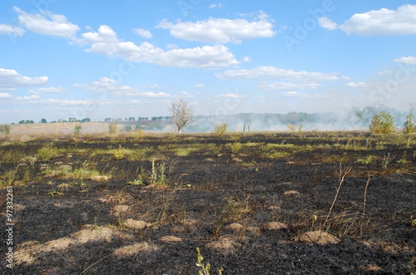 Obraz лесной пожар