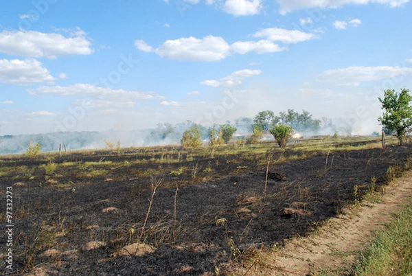 Obraz пожар в поле
