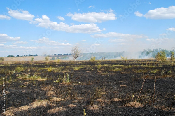 Obraz лесной пожар