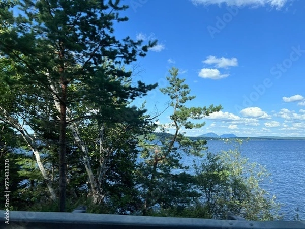 Obraz tree on the beach