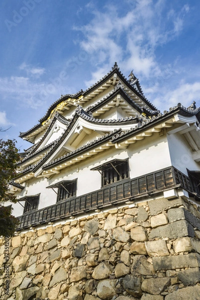 Fototapeta 彦根城秋景色