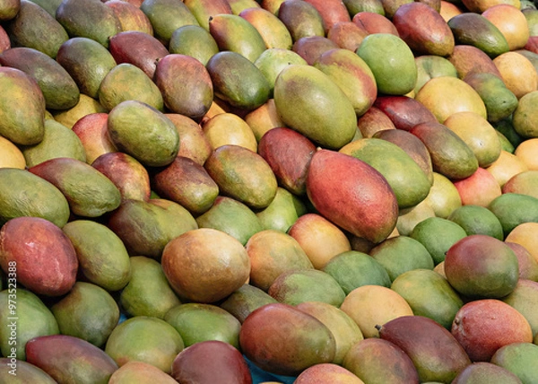 Obraz Mangos