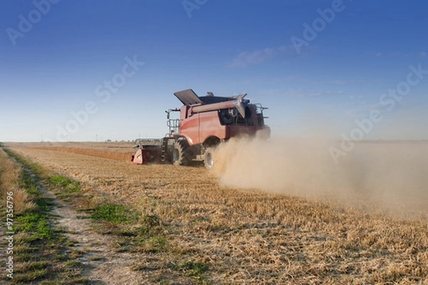 Fototapeta harvester 5