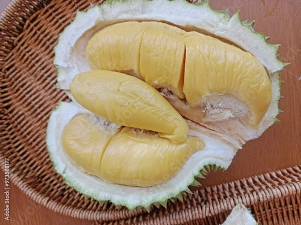 Obraz durian Tropical fruit