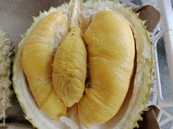 Obraz durian Tropical fruit