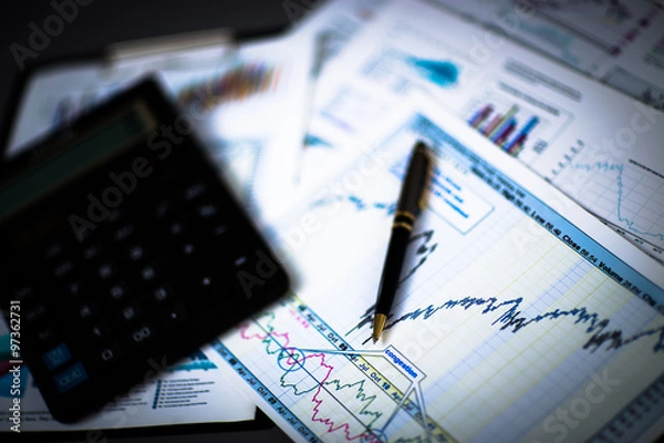 Fototapeta Business graph analysis report. Accounting