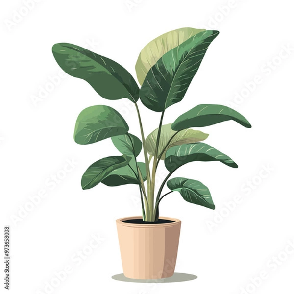 Fototapeta Houseplant in a pot isolated on white background. Vector illustration.