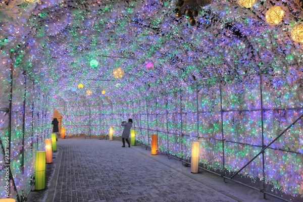 Obraz イルミネーショントンネル