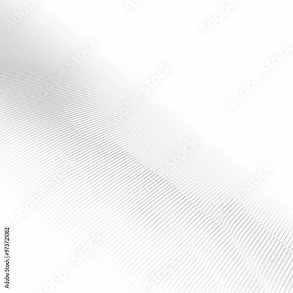 Fototapeta white gradient background