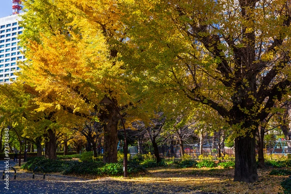 Obraz 日本の風景・秋　東京都千代田区　紅葉の日比谷公園