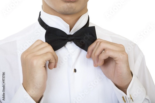 Obraz fixing a bow tie