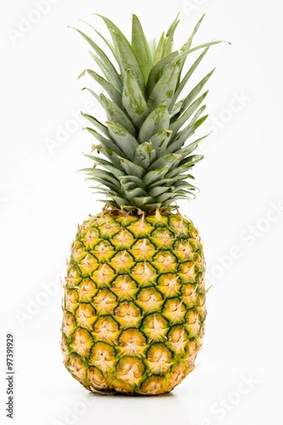 Obraz Izolowany pinapple