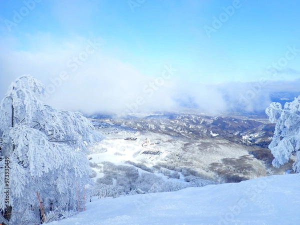 Obraz 白銀のゲレンデ