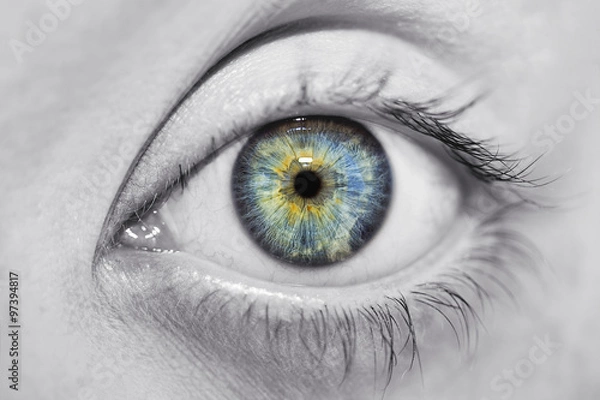 Fototapeta insightful look blue eyes