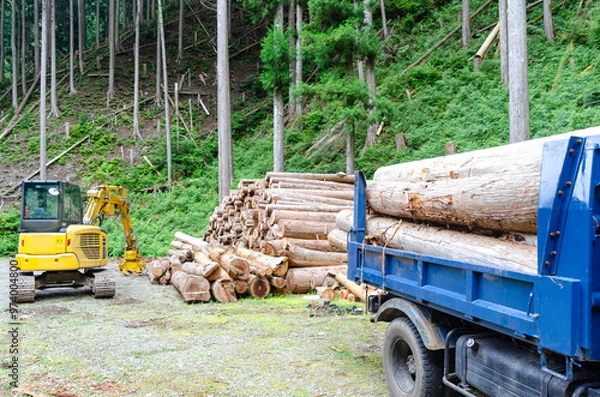 Obraz 積載を完了した木材運搬用トラックと積載を待つバイオマス燃料用の木材