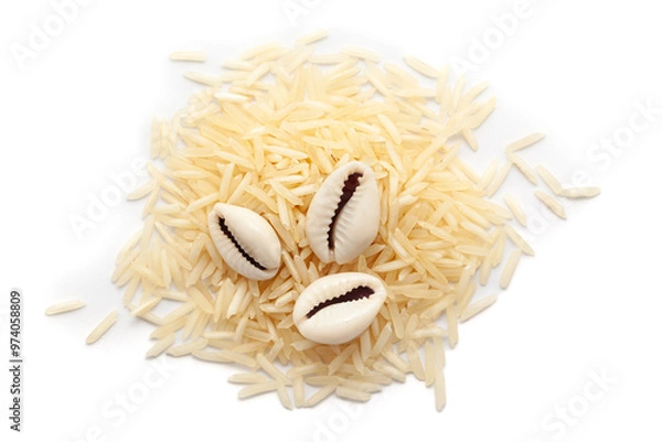 Fototapeta Top view of Cowries (Cypraea chinensis) placed over a pile of rice, isolated on a white background.