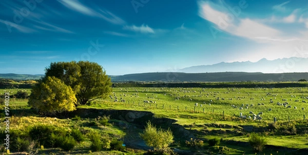 Obraz Panoramic view of rural scenery, fiordland, new zealand.