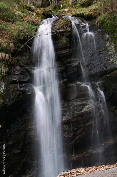 Obraz waterfall portrait