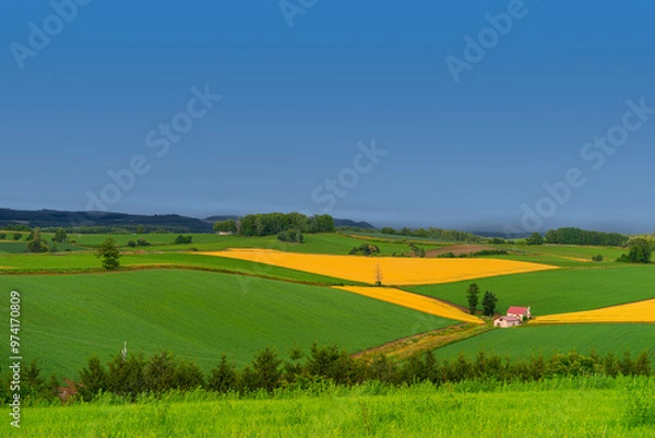 Obraz 북해도의 여름