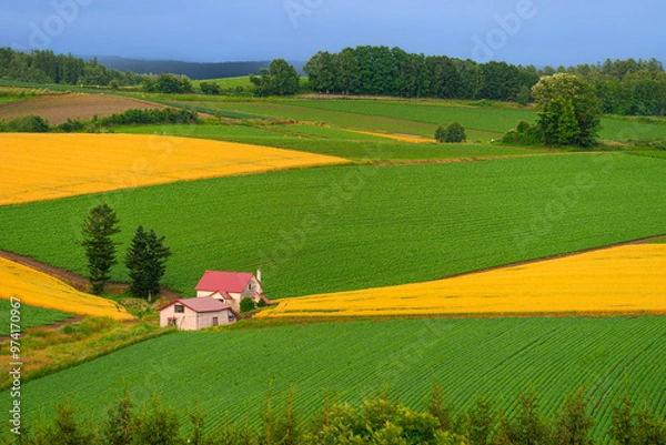 Obraz 북해도의 여름