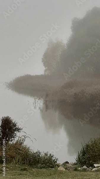 Obraz fog over the lake