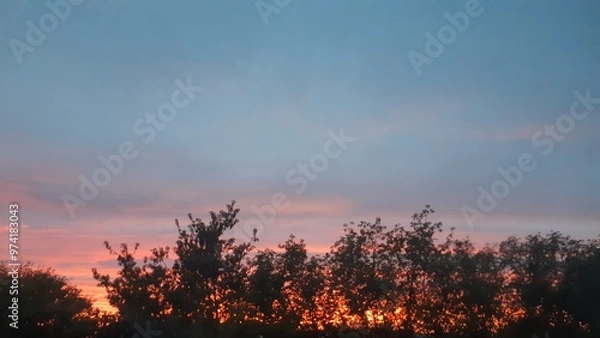 Obraz sunset in the field, sunset in the city 2