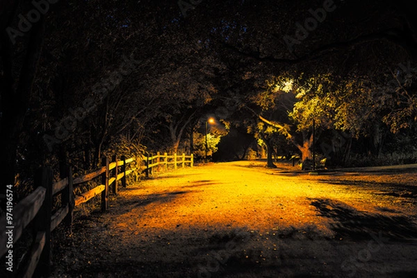 Obraz pathway at night