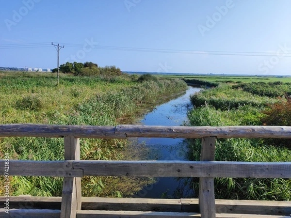 Fototapeta wodden bridge