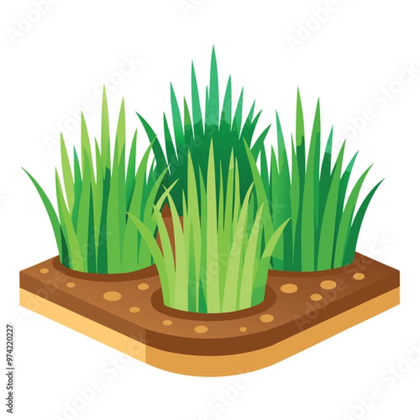 Obraz grass in a pot Grass patche