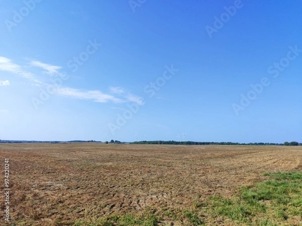 Fototapeta countryside